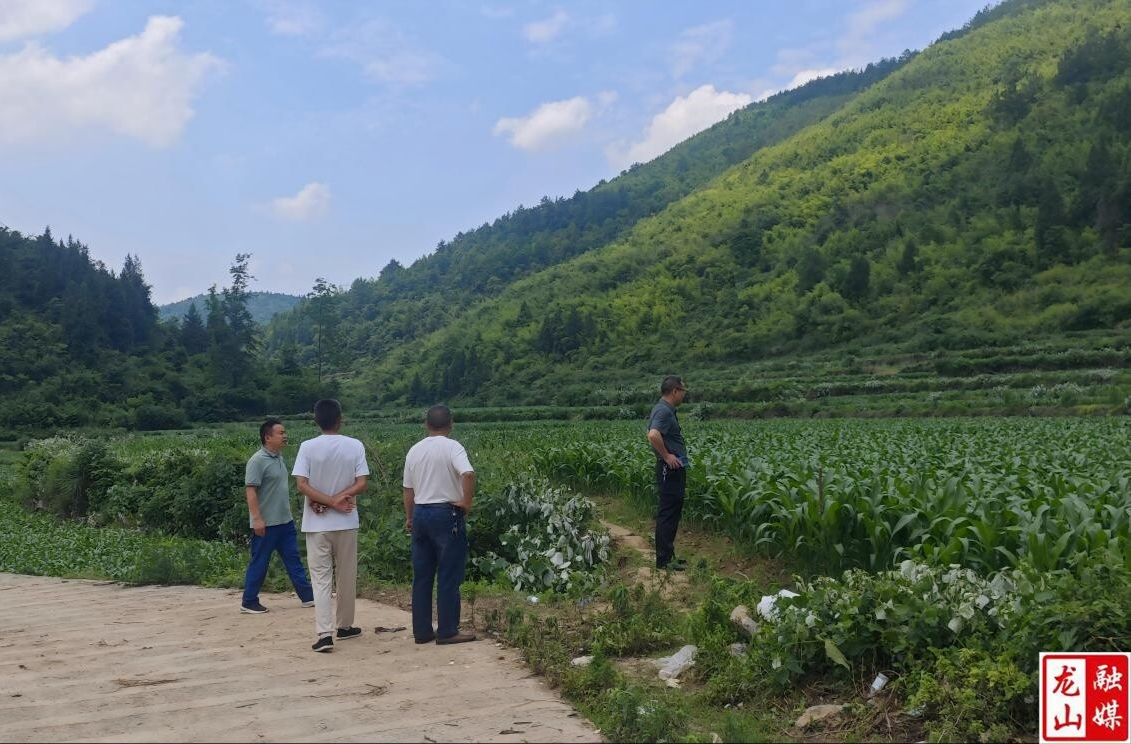 县发改局到靛房镇经济联合总社进行考察指导