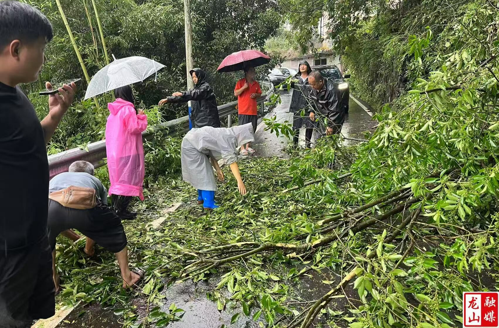 华塘街道：干群齐心开展灾后生产自救