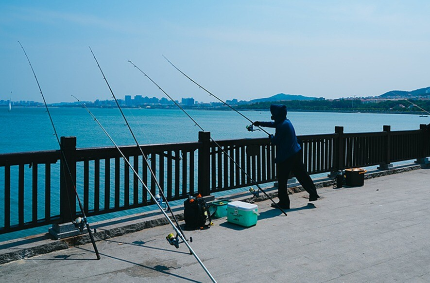 渔业法修订草案二审稿拟明确：个人娱乐性垂钓不属于捕捞作业