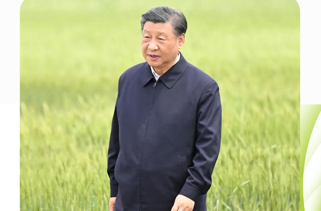 时政微观察丨牢牢守住耕地保护红线，总书记念兹在兹