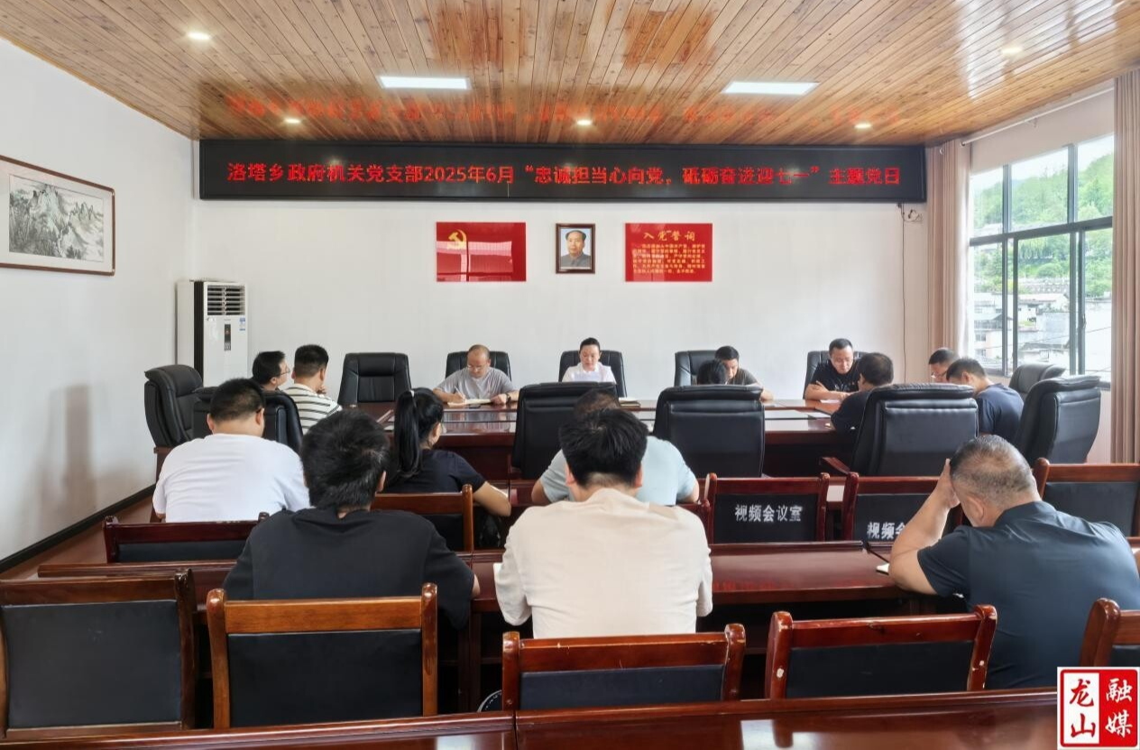 洛塔乡开展“忠诚担当心向党，砥砺奋进迎‘七一’”主题党日