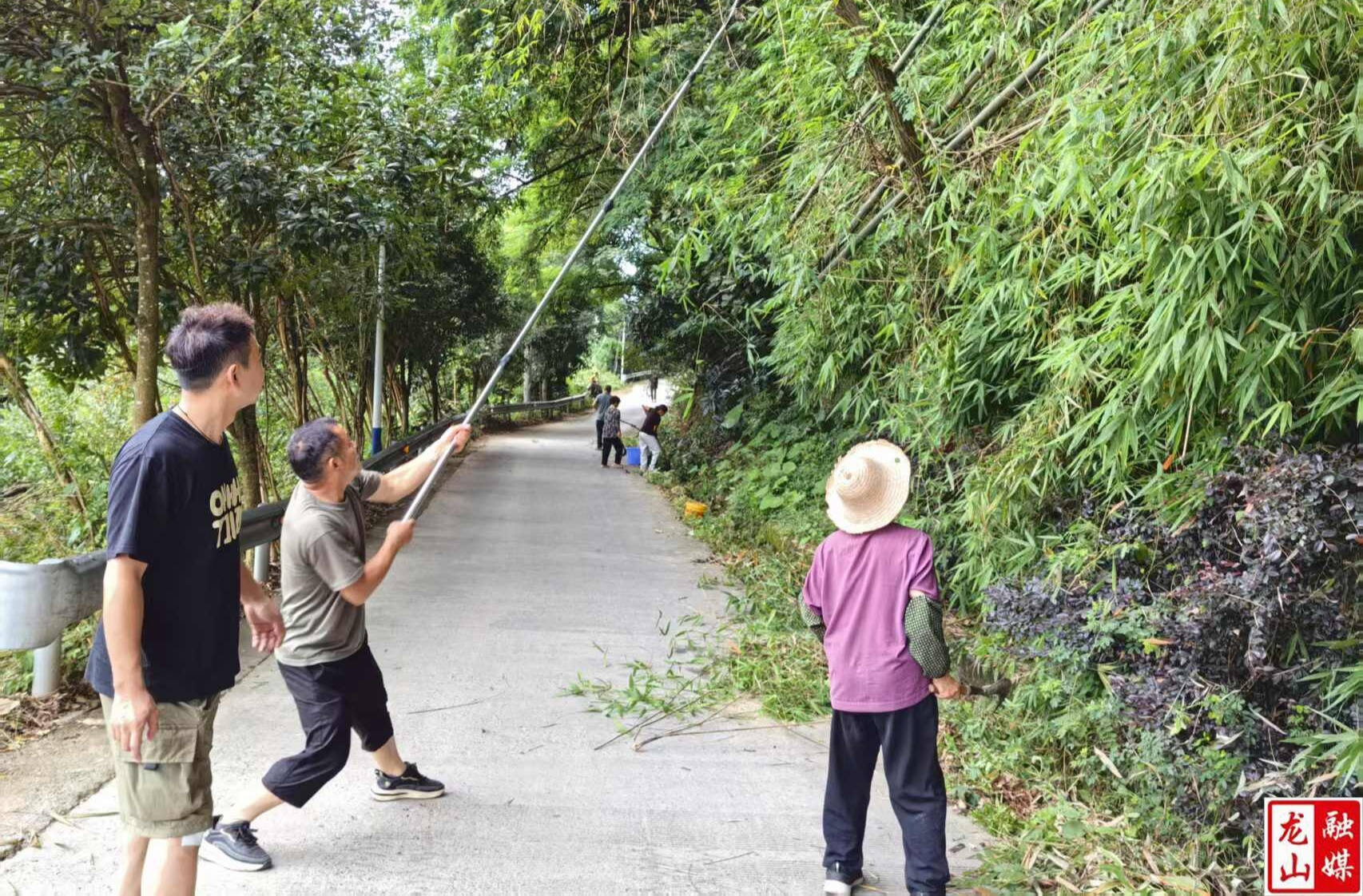 华塘街道：社区党员干部开展道路环境整治行动
