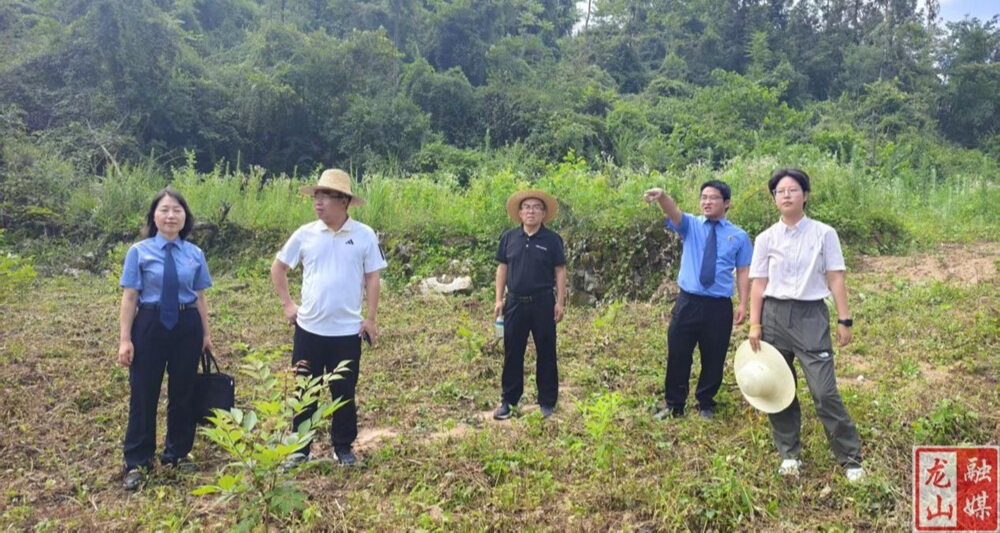 龙山县开展政协提案与公益诉讼检察建议衔接转化工作机制（图）