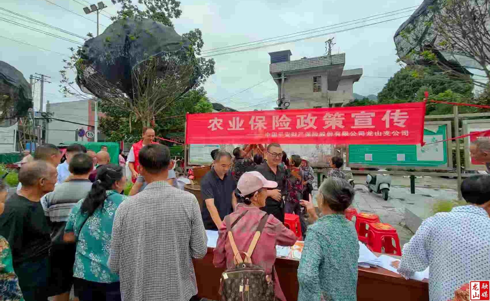召市镇开展防疫保险宣传行动  助力农业生产健康发展
