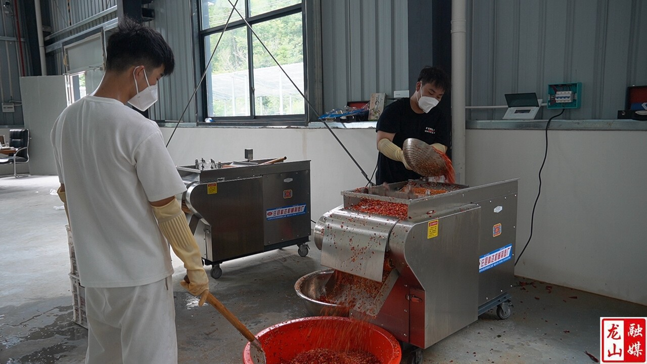 桂塘镇：生鲜辣椒精深加工 带动群众增收