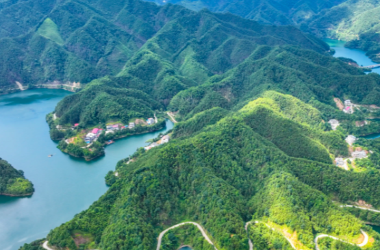 山水林田湖草沙——读懂“两山”理念的系统观念