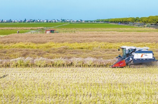 农业大省挺起“脊梁”——湖南上半年农业经济运行稳中向好