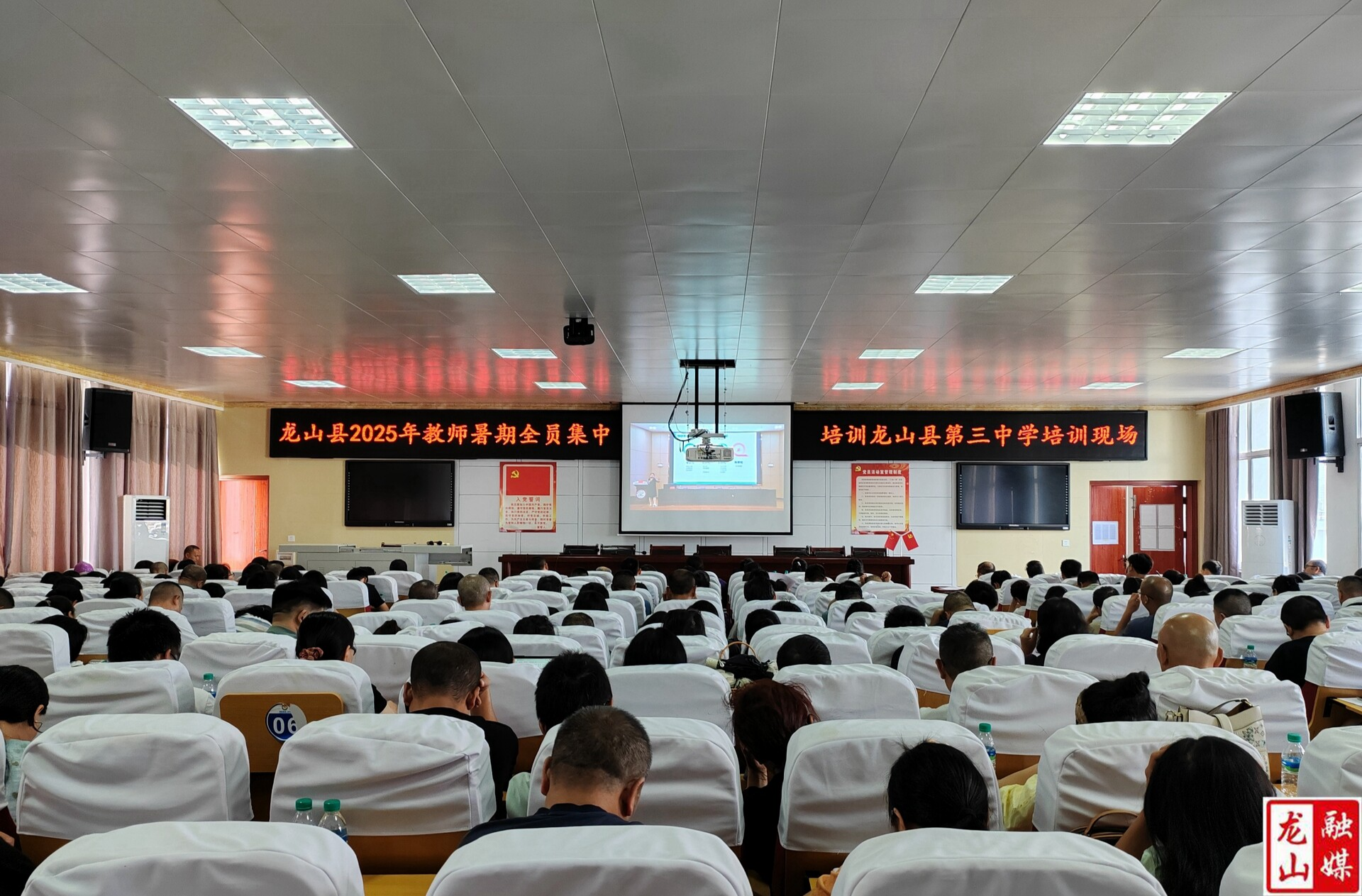 聚焦心育赋能 助力专业成长