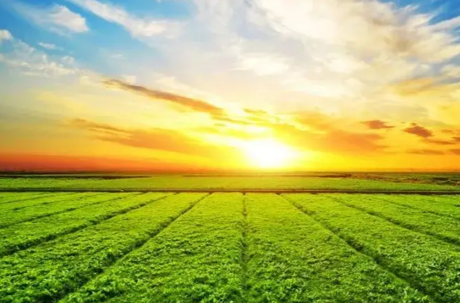 《永久基本农田保护红线管理办法》公布，自10月1日起施行