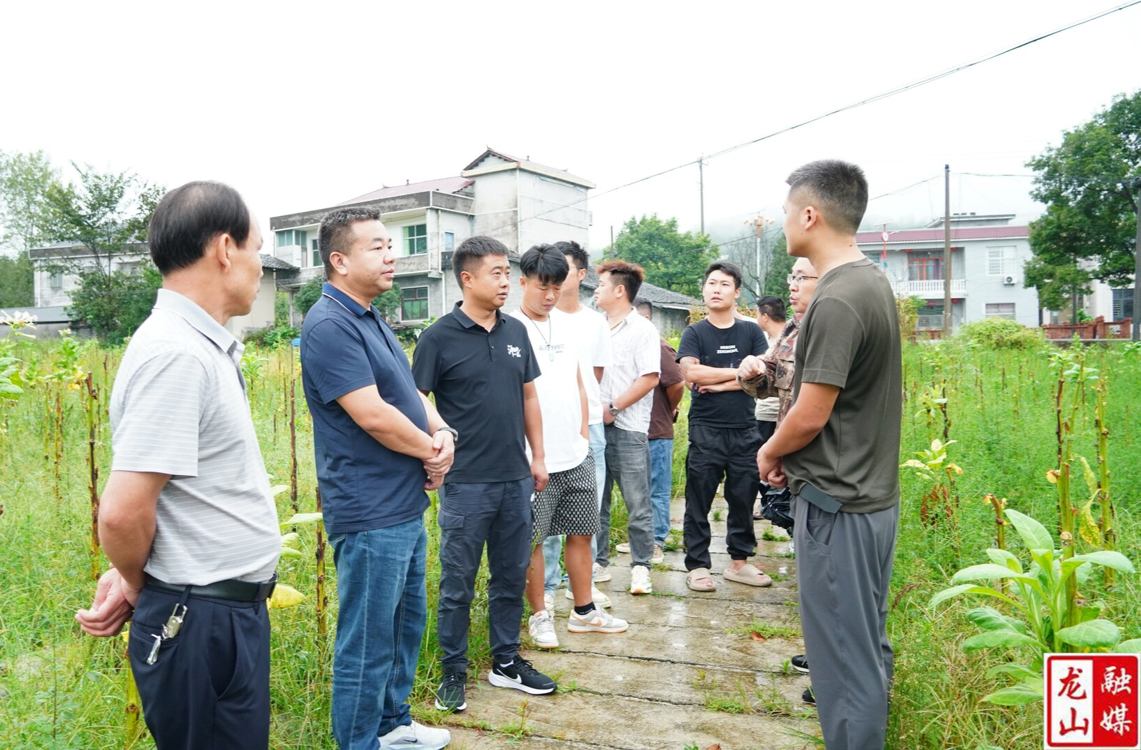 贾高顺深入乡镇考察百合种植新区规模基地建设情况