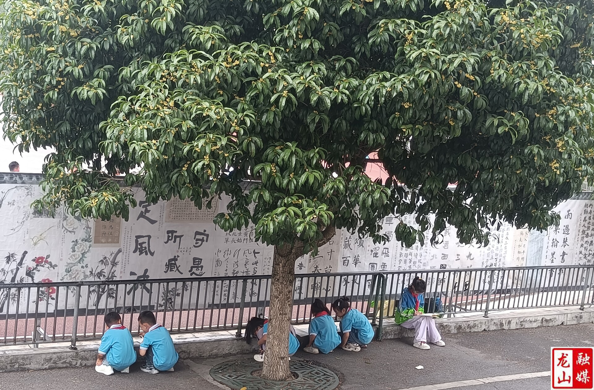 县六小：“学生体验自然”教学受欢迎