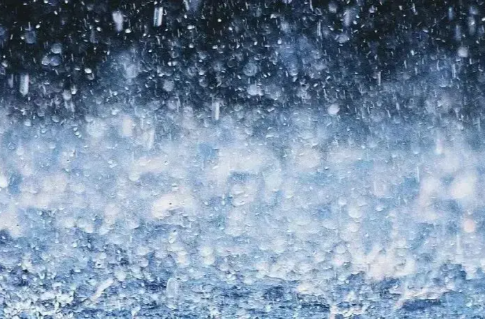 双预警齐发 全国多地迎强降雨与大风天气