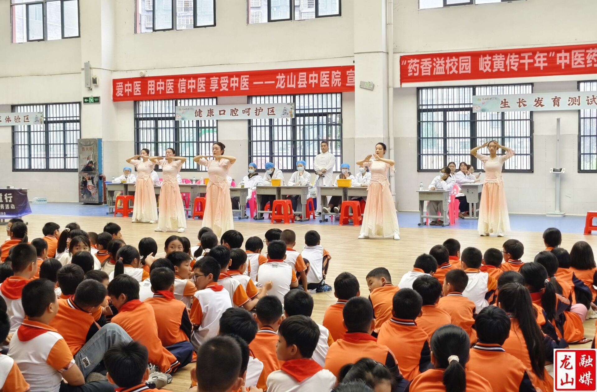 龙山县开展中医药文化进校园活动