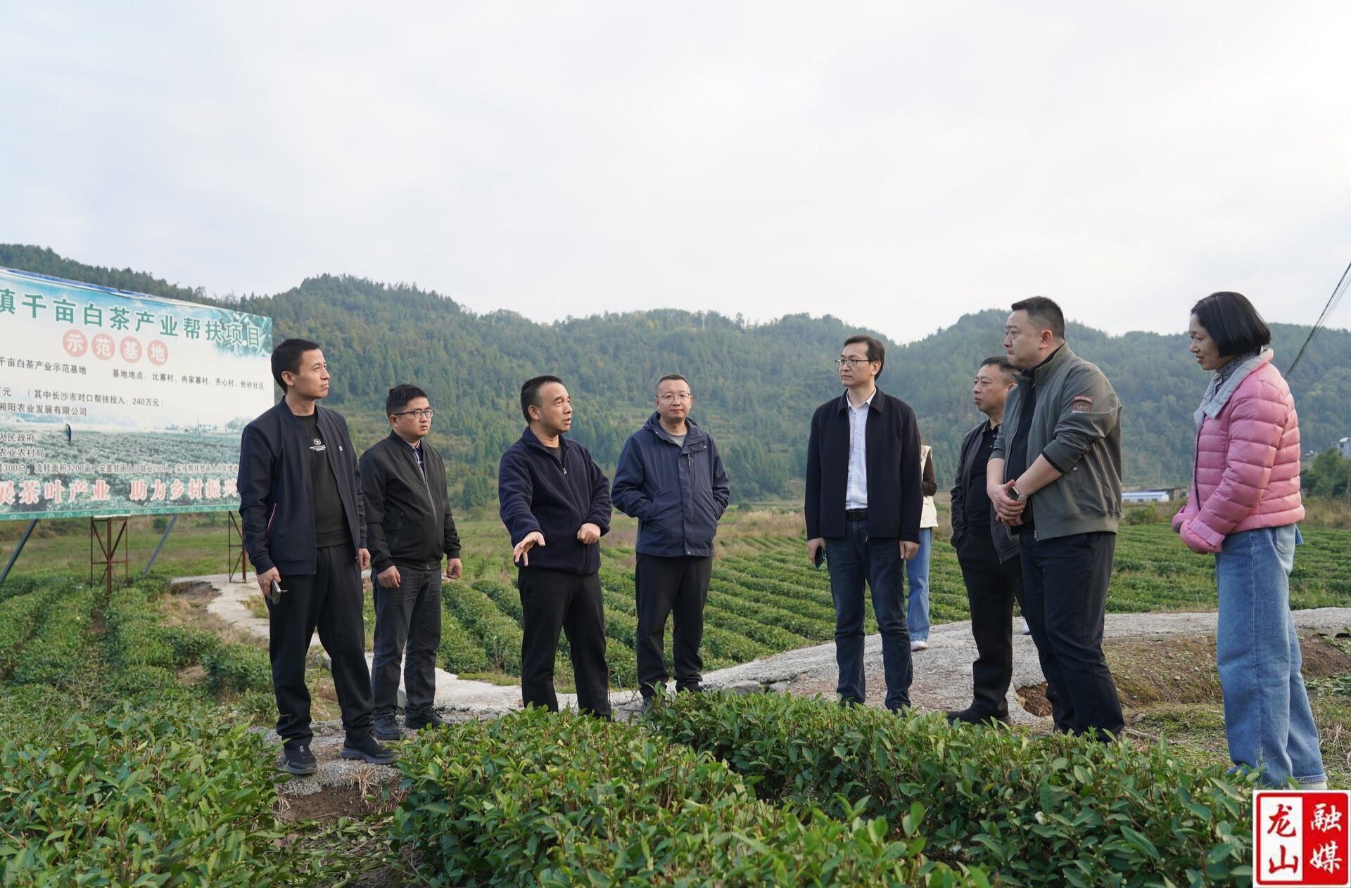 长沙隆平产业开发区一行到靛房镇调研产业发展