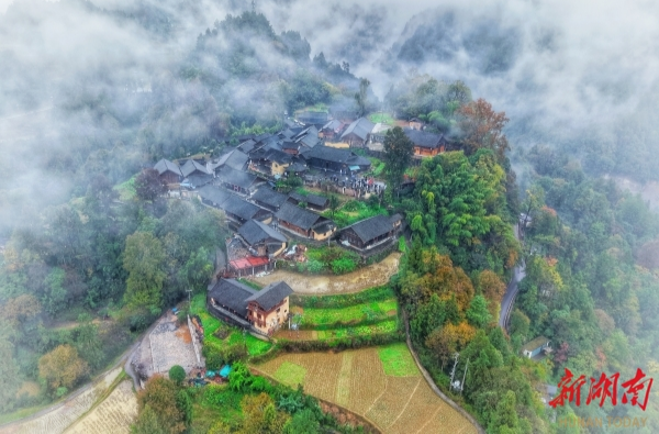 凝心铸魂强根基 文明花开满山乡@湖南日报特刊