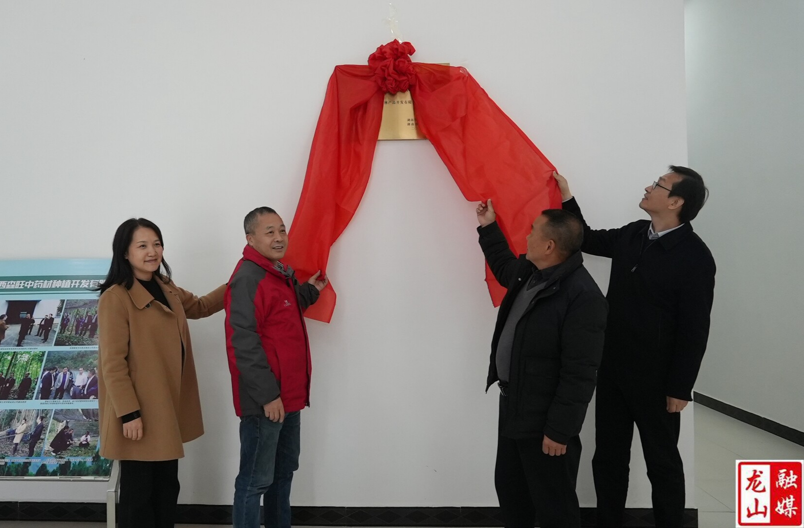 龙山县首个省级专家工作站座谈会暨揭牌仪式举行