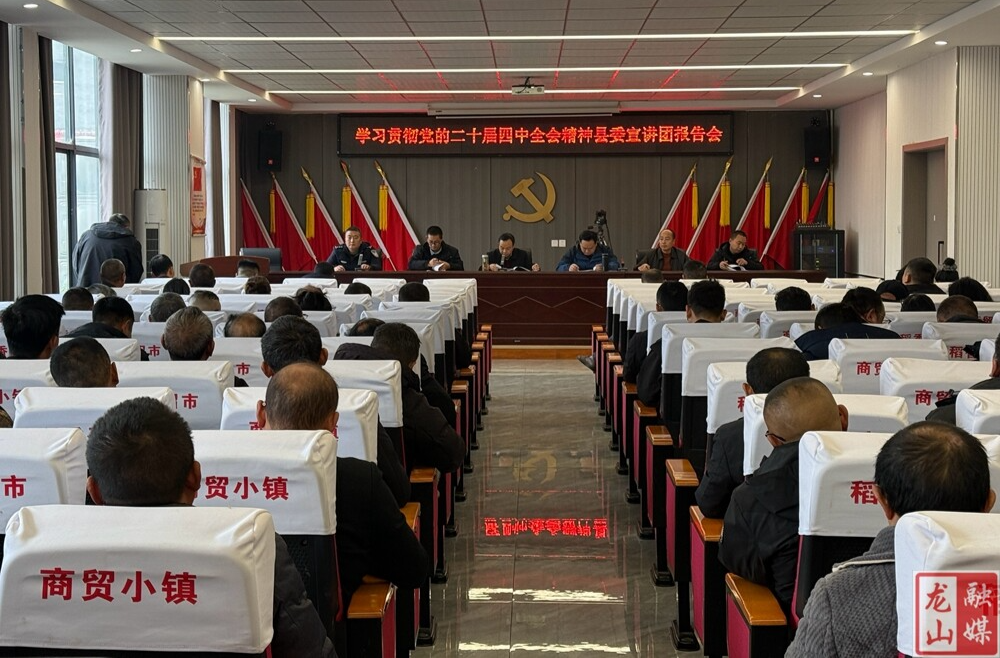 召市镇召开学习贯彻党的二十届四中全会精神宣讲会