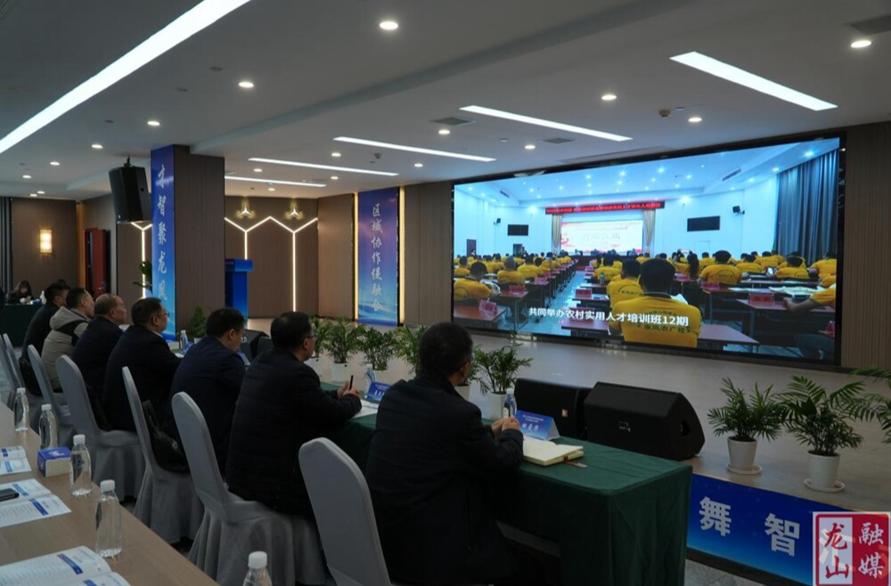 龙山来凤两县举行龙凤人才区域协作项目签约仪式