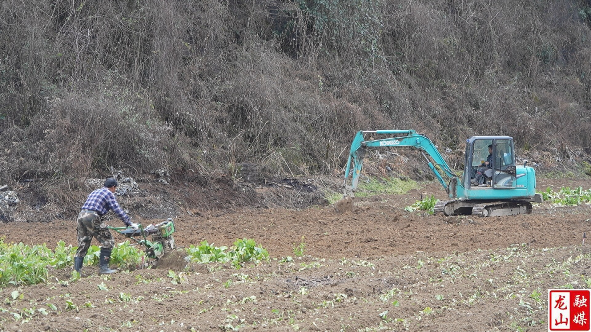 大安乡：冬翻热潮起 烟田备耕忙