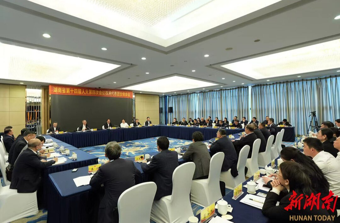 毛伟明参加株洲市代表团审议