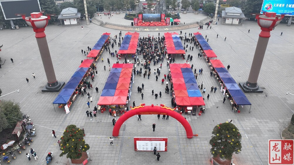 龙山县举行“春风行动”现场招聘会