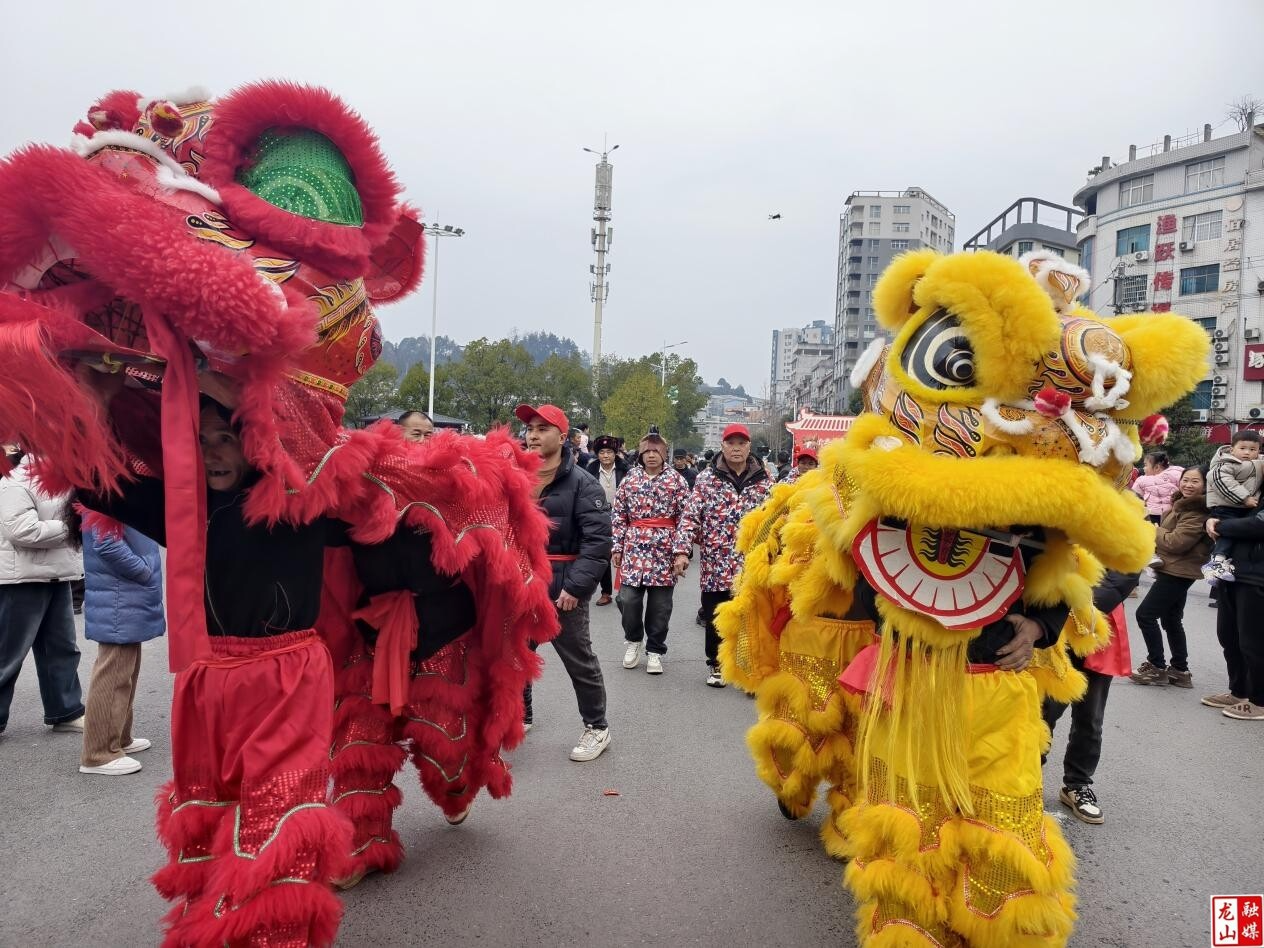 2026年龙山县“神秘湘西过大年”春节系列群众文化活动——“福马贺新春 喜气满龙山”春节灯会游行活动热闹开启