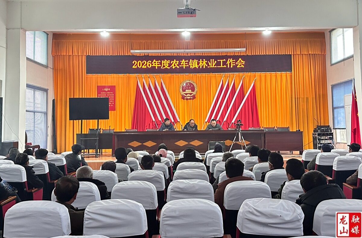 农车镇：筑牢生态安全“防火墙”