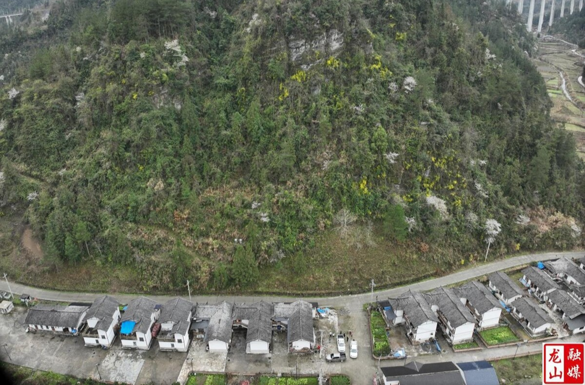 红岩溪镇新春突发山体崩塌 无人机勘灾+科普避险同步展开