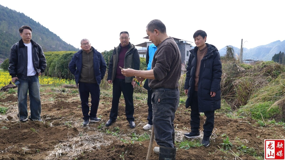 湖南省林科院专家送技下乡 助力包谷村“五倍子”产业振兴