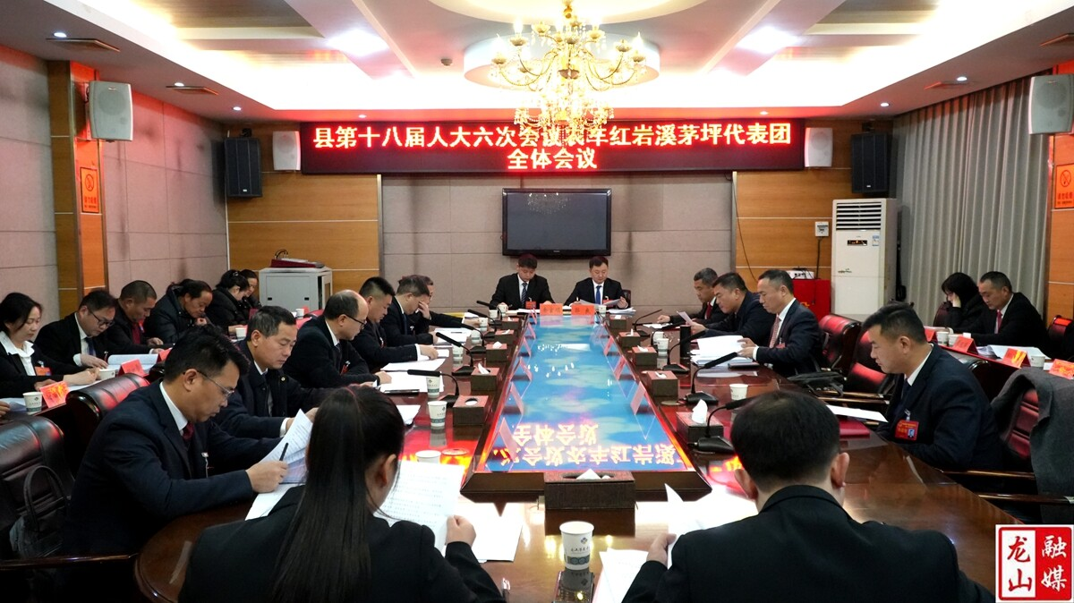 【聚焦两会】龙山县十八届人大六次会议召开各代表团第二次全体会议
