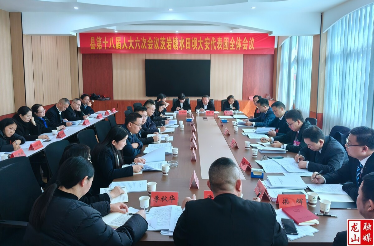 【聚焦两会】周大钊参加县第十八届人大六次会议茨岩塘水田坝大安代表团审议