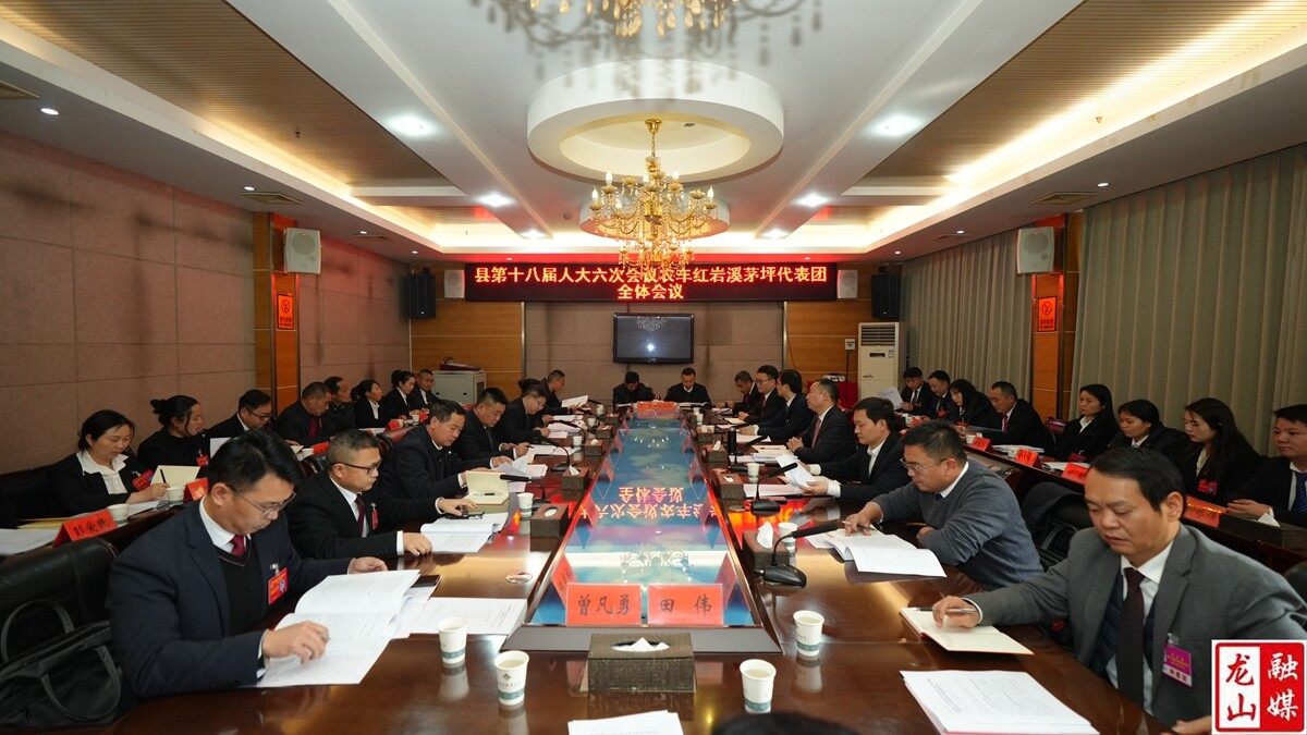 【聚焦两会】周胜益参加县第十八届人大六次会议农车红岩溪茅坪代表团审议