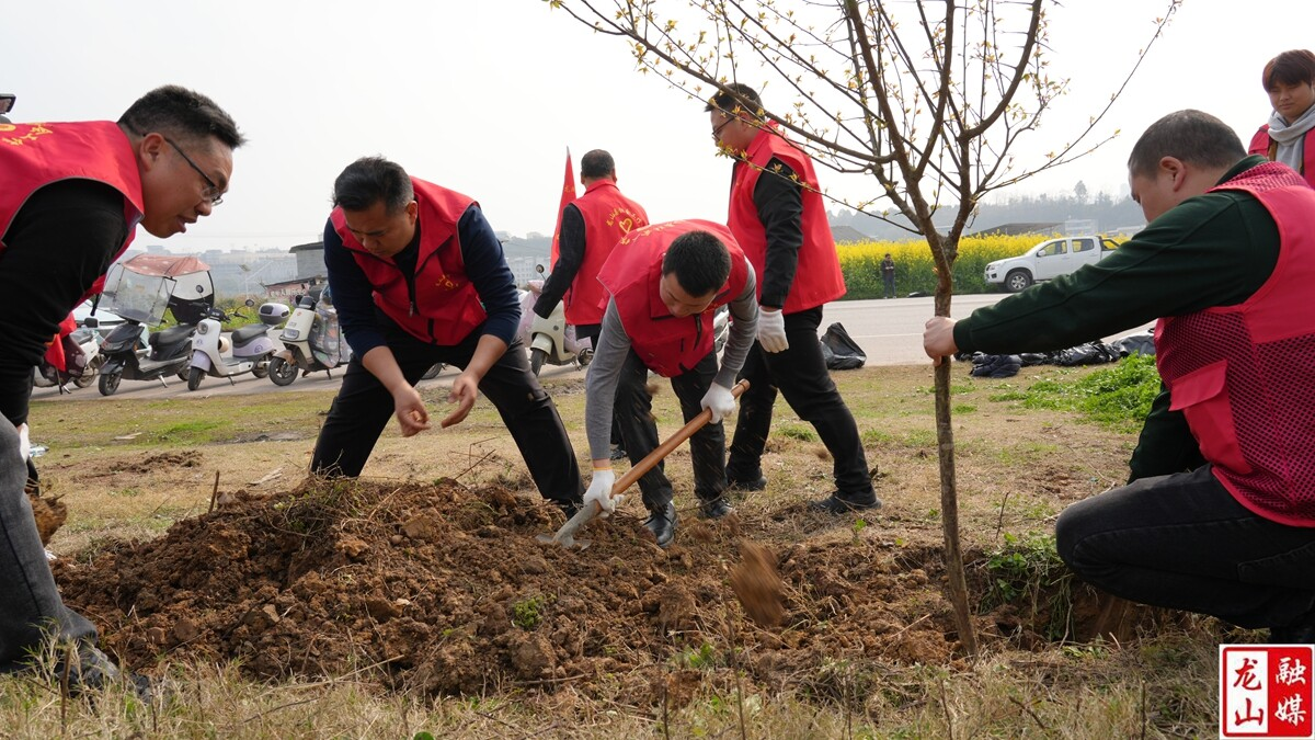 龙凤同行·文明“酉”你！湘鄂两县跨省志愿护酉水 共植团结绿