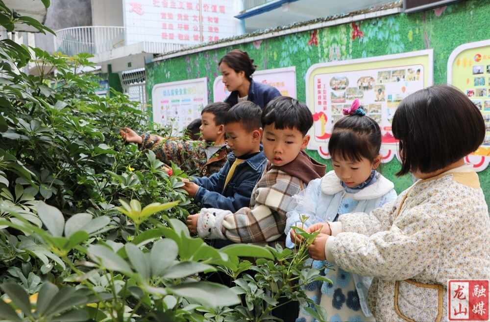 县老干幼儿园开展“护绿小卫士”植树节主题实践活动