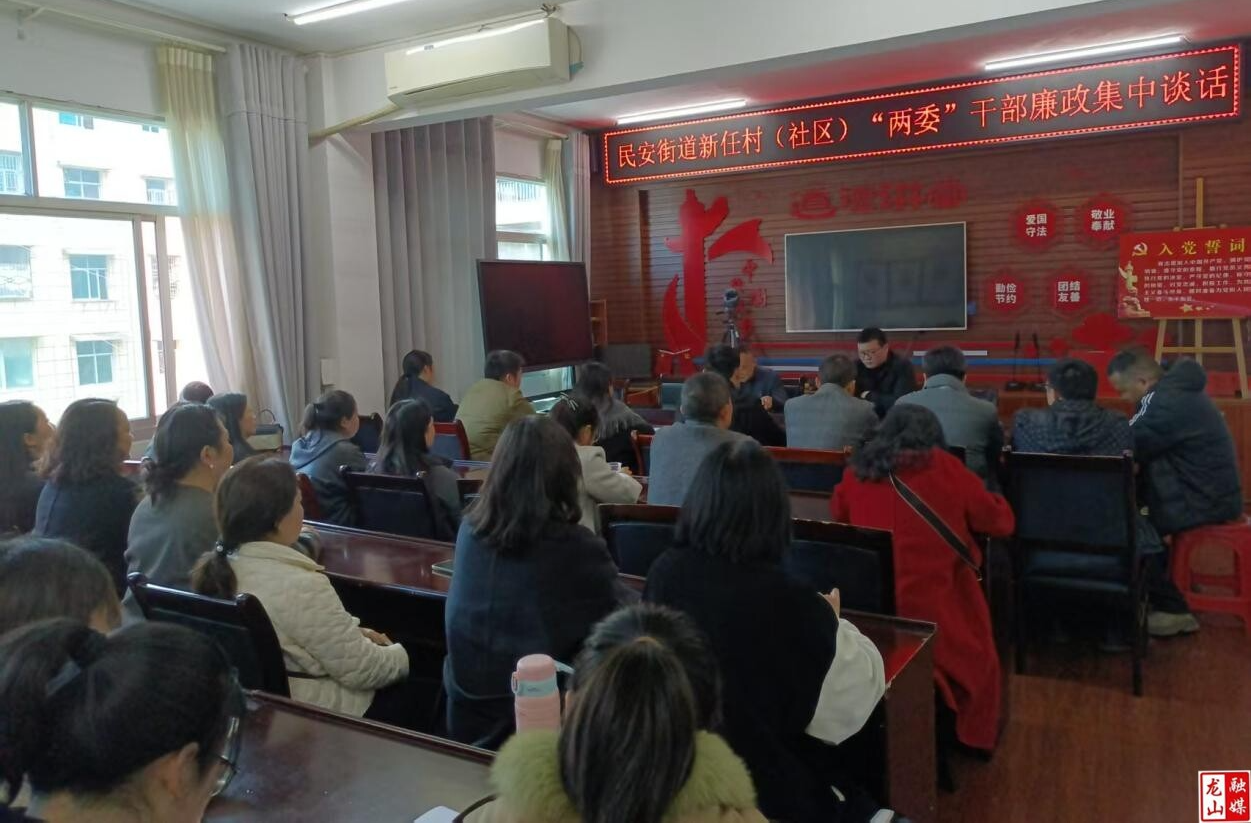 民安街道开展新任村（社区）“两委”干部廉政集中谈话