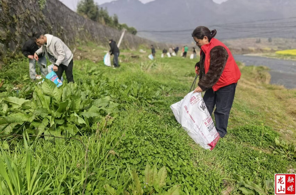 召市镇：全域发力整治环境 绘就宜居和美新画卷