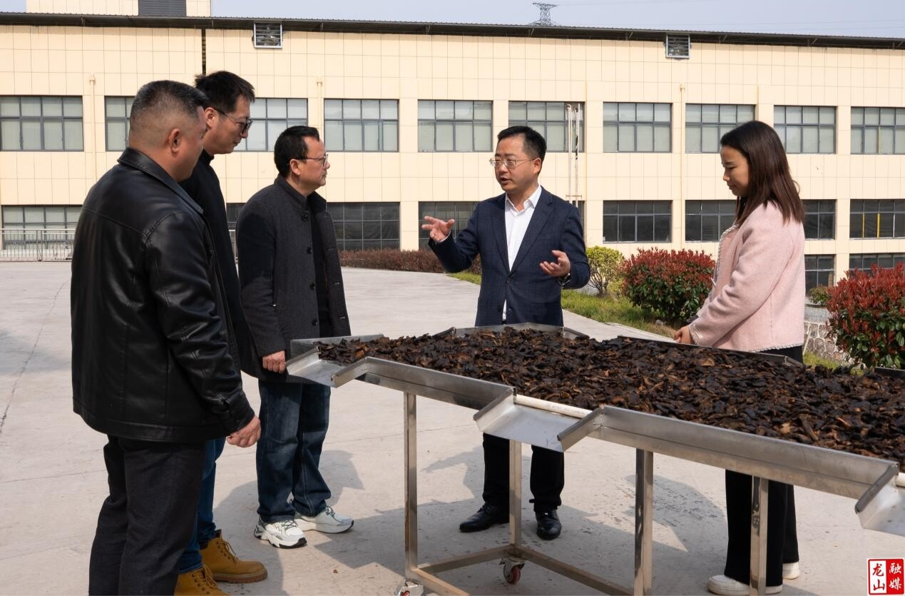 龙山县：走访企业听需求 指导产业助振兴