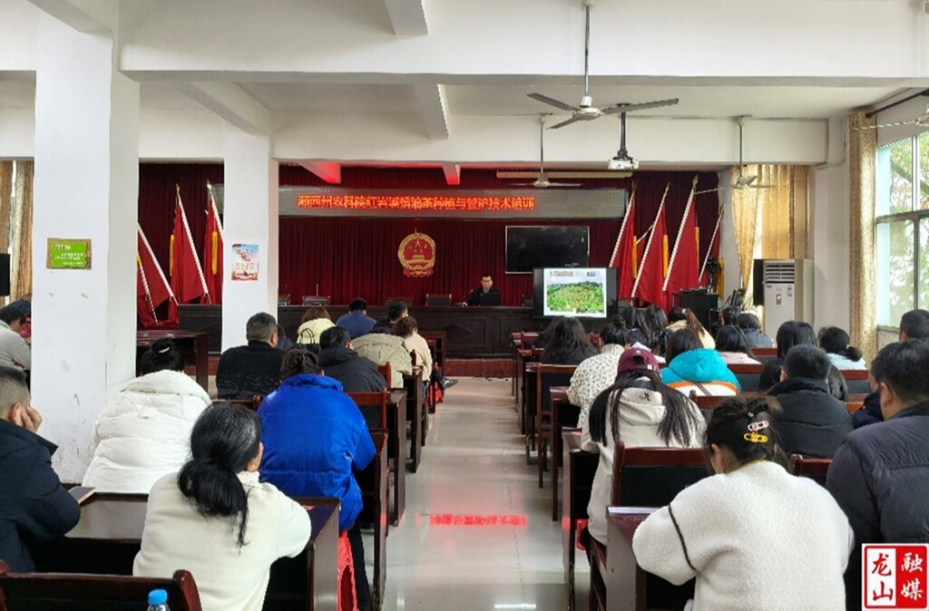 油茶技术培训进乡村 赋能产业发展促增收