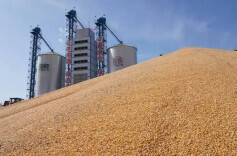 提升粮食和物资储备安全保障能力 我省实施八大攻坚行动