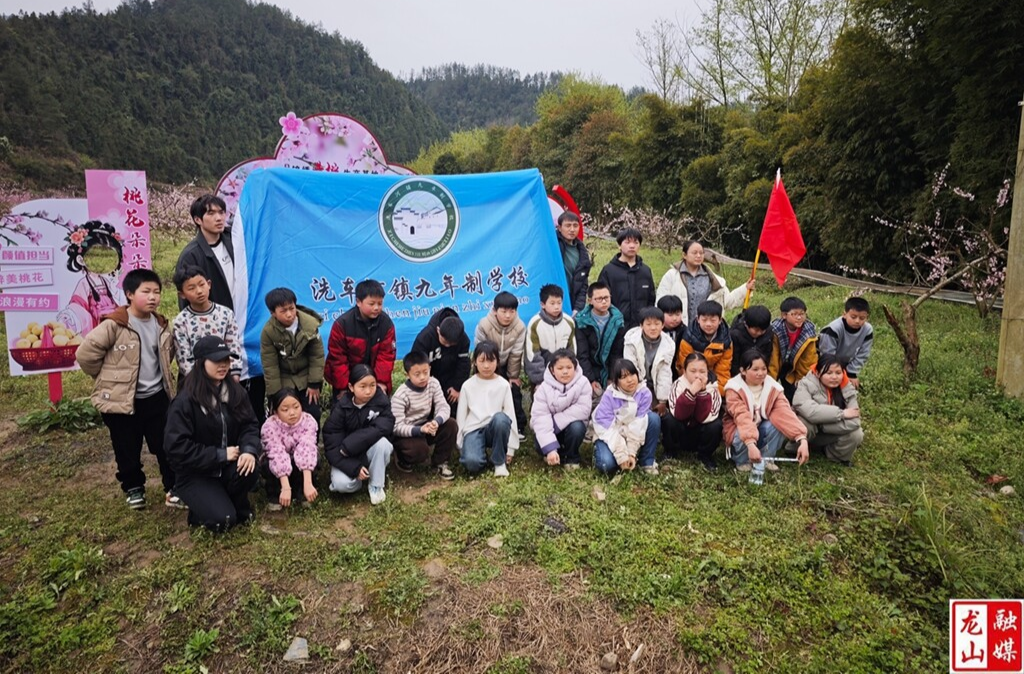 桃花盛放迎研学：百亩桃园变身“田野课堂” 农旅融合绘就乡村振兴甜蜜图景
