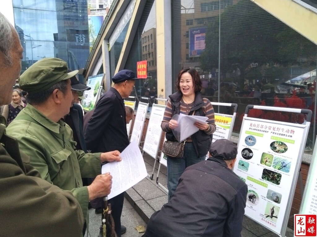 龙山县开展2026年 “爱鸟周”主题宣传活动