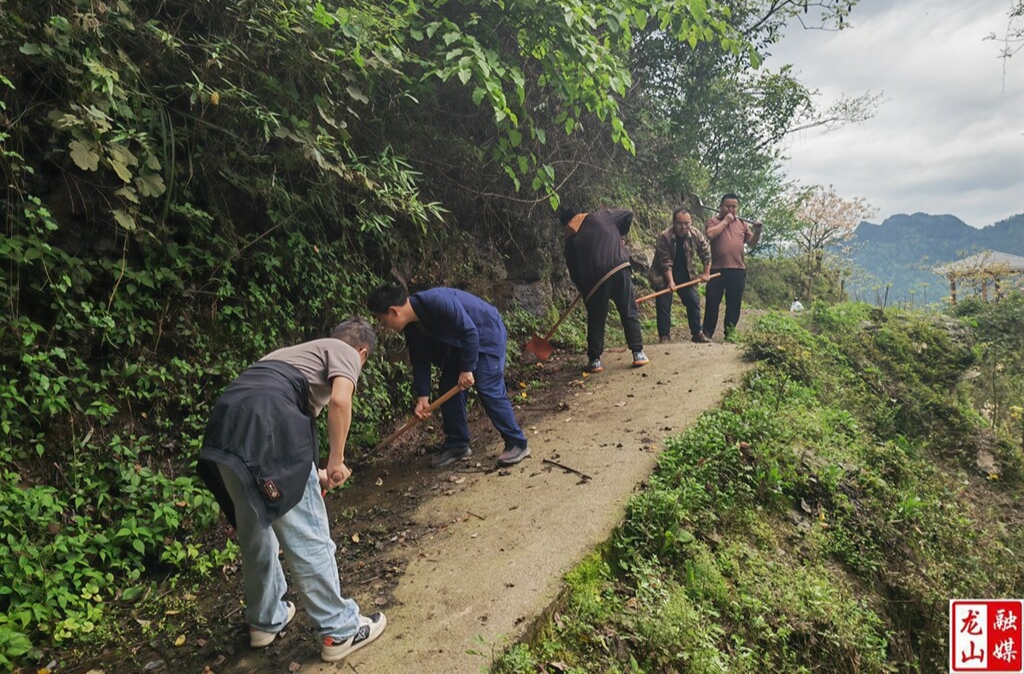 咱果乡干群齐赴油桐林开展环境整治（图）