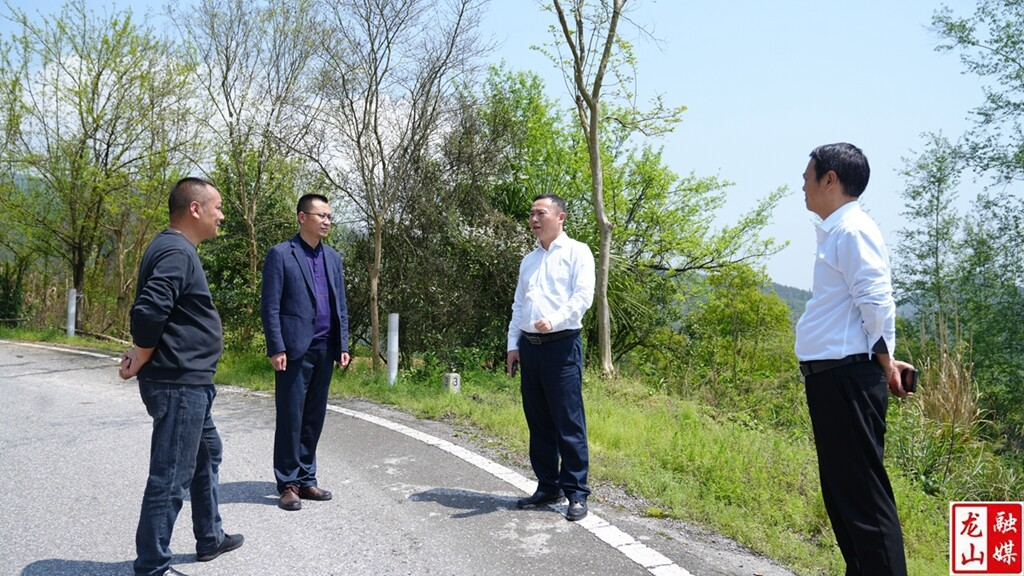 周胜益到红岩溪镇调研