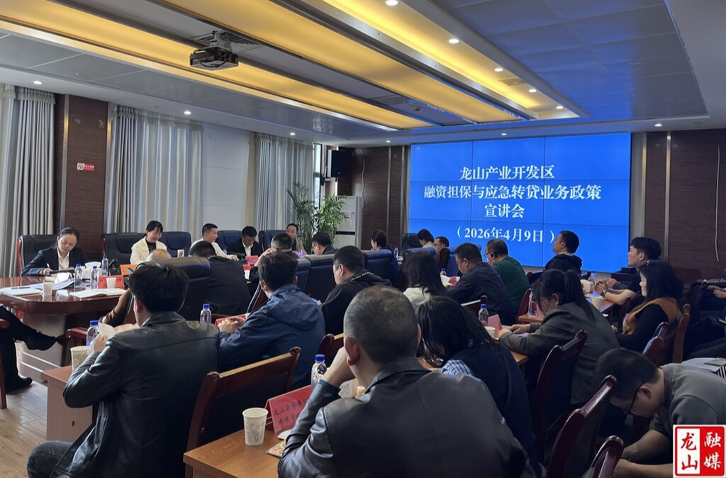 龙山产业开发区召开金融惠企融资担保与应急转贷对接座谈会