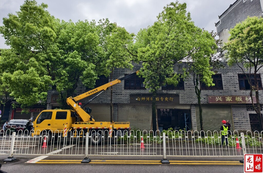 里耶镇开展行道树安全隐患整治行动