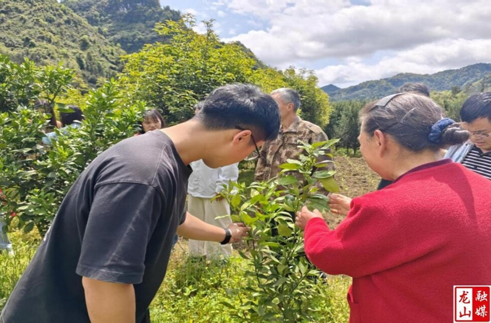 龙山县组织选调生到咱果乡、内溪乡调研