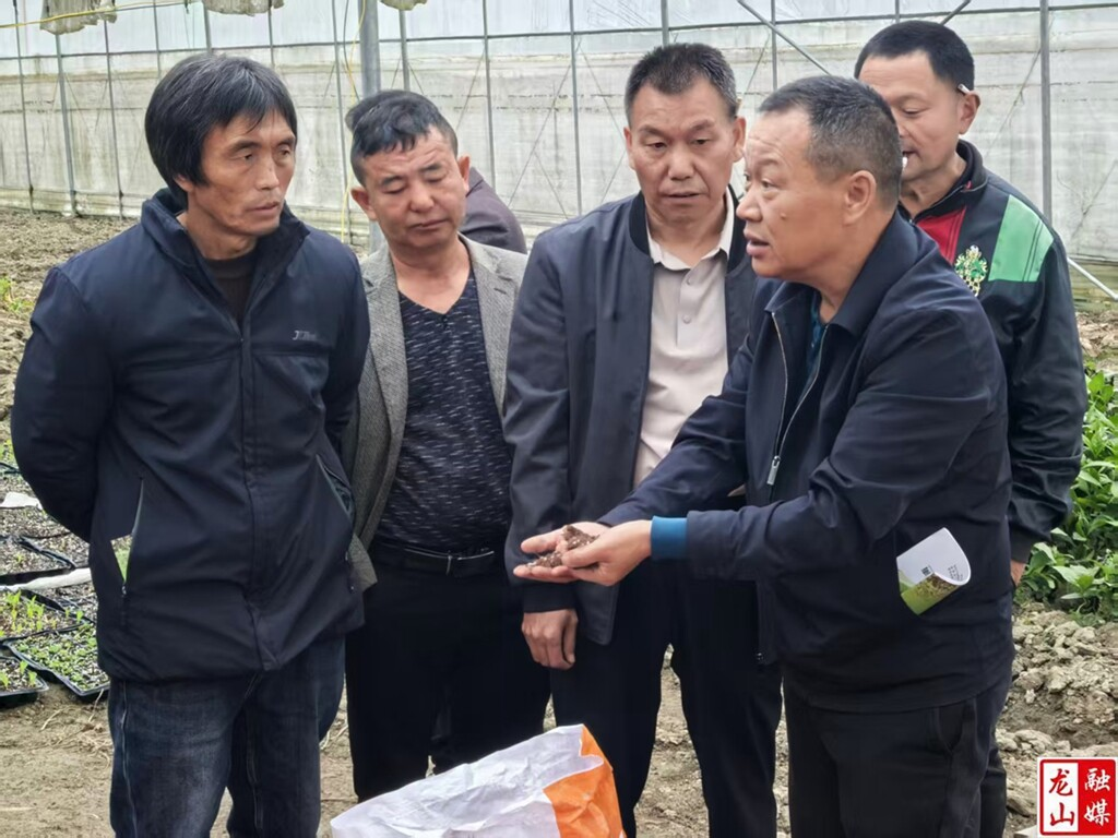 省农科院专家再赴桂塘镇 白丝瓜栽培技术培训助力春耕生产