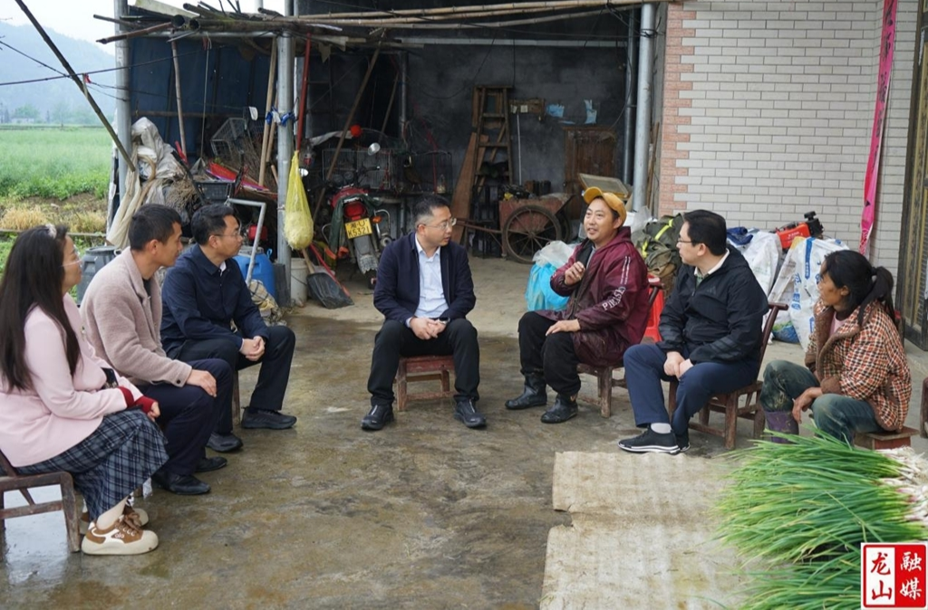 龙山：深耕基层摸实情 精准谋划乡村振兴发展路