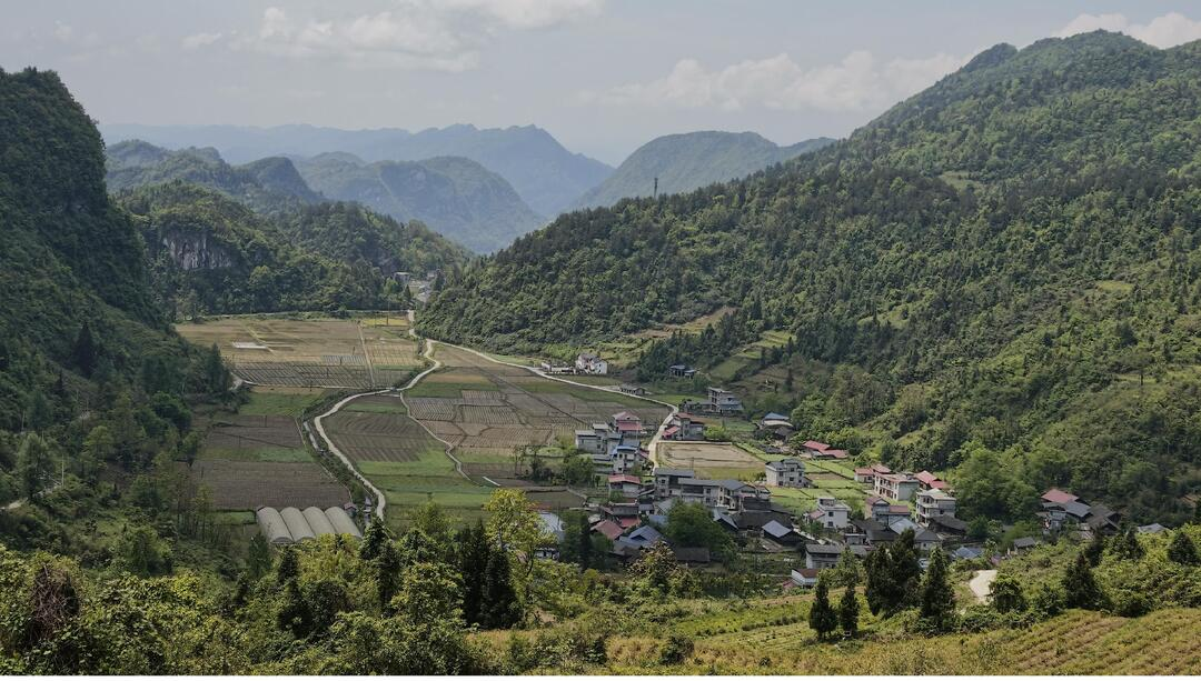 “定格振兴·光影筑梦”2026年龙山县人大机关乡村振兴摄影活动图片赏析（一）