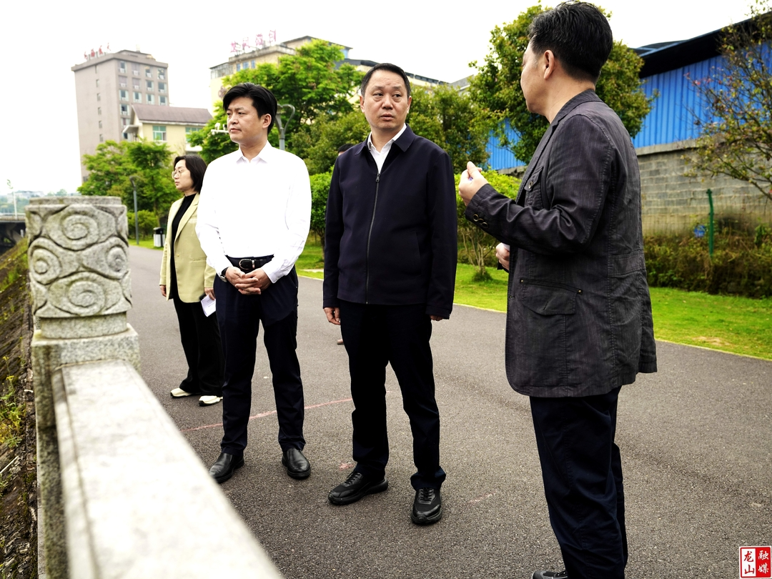 吴光文调研县城区突出生态环境问题整改工作